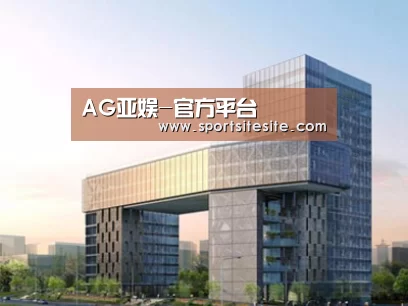 案例展示四