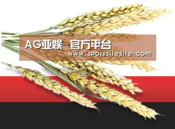 AG亚娱-官方平台