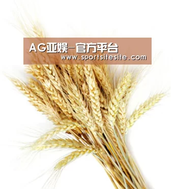AG亚娱-官方平台