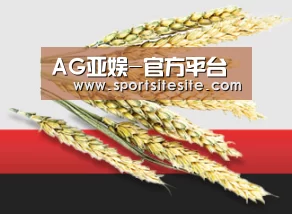 AG亚娱-官方平台